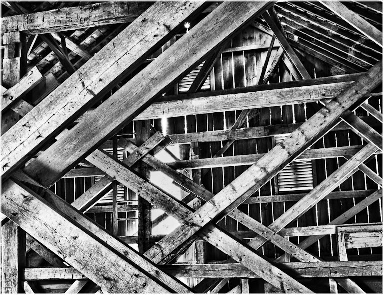 Barn bones
